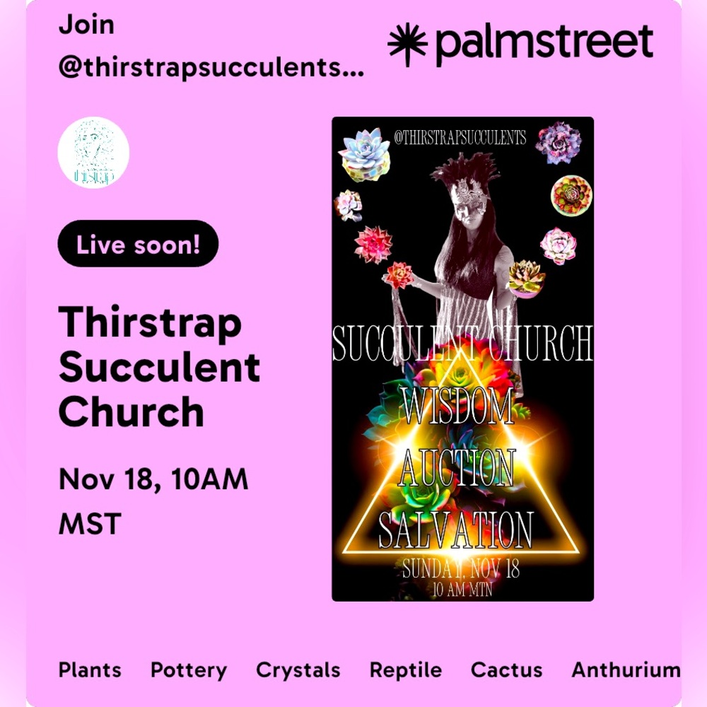 Are you a succulent lover? A rock hound?